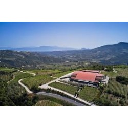 Dégustation & tradition à Nemea – Route des vins du Péloponnèse