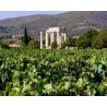 Dégustation & tradition à Nemea – Route des vins du Péloponnèse